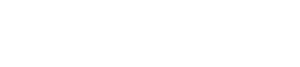 Brandon Insurance Group - Logo 500 White