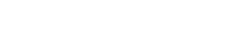 Brandon Insurance Group
